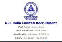 NLC India Limited Recruitment 2020