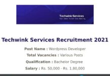 Techwink Services