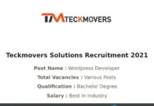 Teckmovers Solutions Recruitment 2021