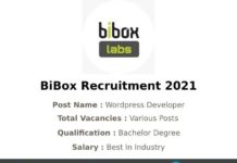 BiBox Recruitment 2021