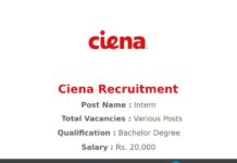 Ciena Recruitment 2021