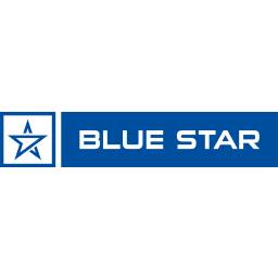 Blue Star Recruitment 2022