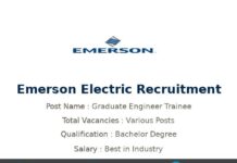 Emerson Recruitment 2022