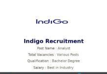 Indigo Recruitment 2022 | Various Analyst Jobs