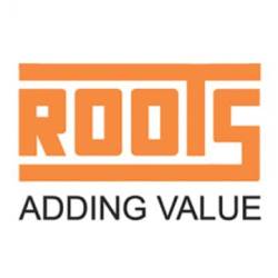 Roots Recruitment 2022 for Dot Net Developer