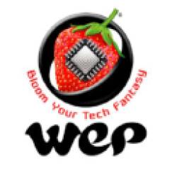 WeP Digital Services Recruitment 2023