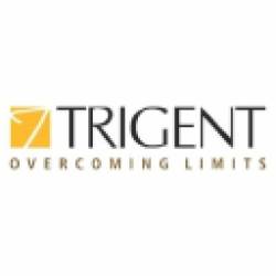 Trigent Software Recruitment 2023