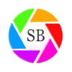 Staffbee Solutions Recruitment 2024
