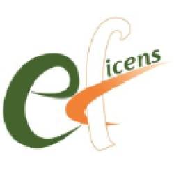 Eficens Systems Recruitment 2024