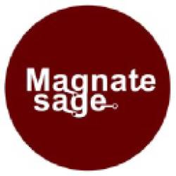 Magnatesage Technologies Recruitment 2025