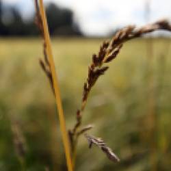 Responsive Recruitment 2025