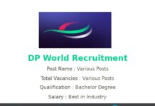 DP World Recruitment 2025 | Various Executive Jobs