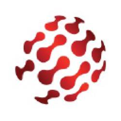 SANeForce Recruitment 2025