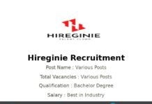 Hireginie Recruitment 2025 | Various Senior Manager – D2C Jobs