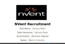 NVent Recruitment 2025 | Various Workday Reporting Analyst Jobs