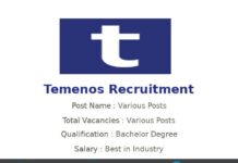 Temenos Recruitment 2025 | Various Software Engineer Jobs